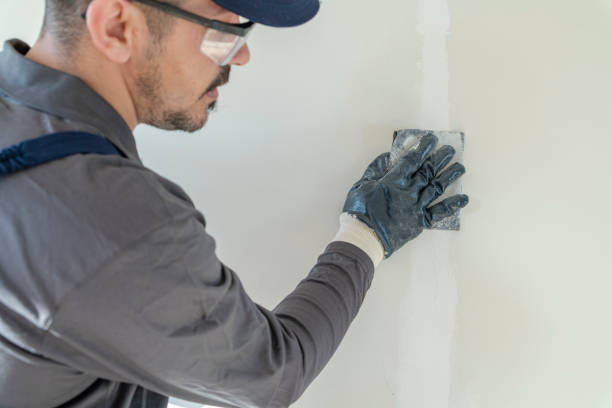 Best Residential Painting  in Superior, WI