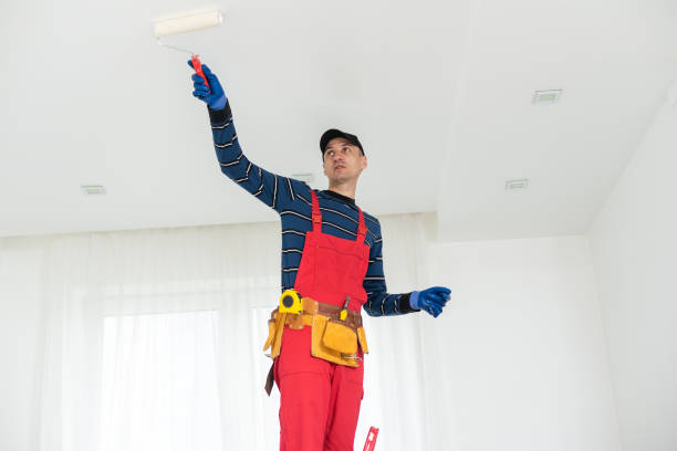  Superior, WI Dry wall and painting Pros